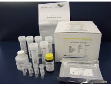 XÉT NGHIỆM TÌM GIUN ĐŨA CHÓ MÈO (toxocara canis novatec )